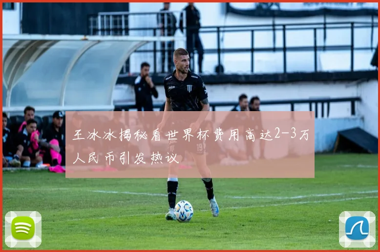 王冰冰揭秘看世界杯费用高达2-3万人民币引发热议