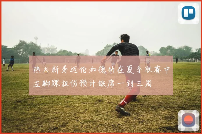 热火新秀迈伦加德纳在夏季联赛中左脚踝扭伤预计缺席一到三周