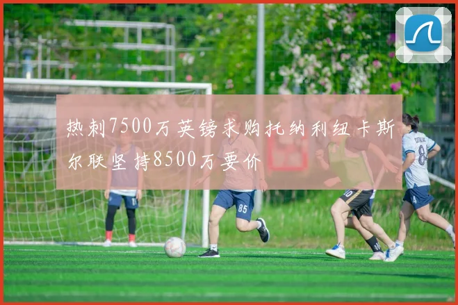 热刺7500万英镑求购托纳利纽卡斯尔联坚持8500万要价